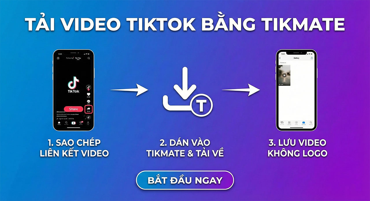Tải video TikTok không logo